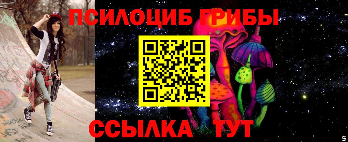 Галлюциногенные грибы Cubensis Великий Новгород